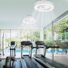 Ceiling Light