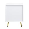 Gaines Nightstand; White High Gloss Finish BD01035