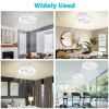 Ceiling Light